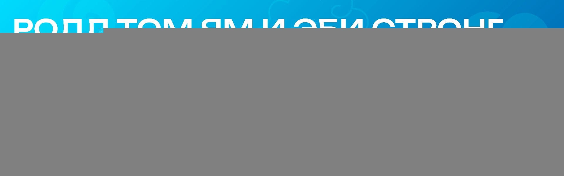 VG11 сет из двух роллов Том ям и Эби стронг от 3200р